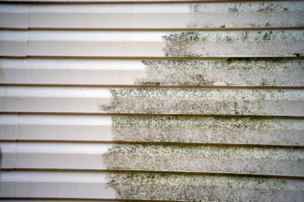 Best Residential Vinyl Siding Installation  in Phillips, WI
