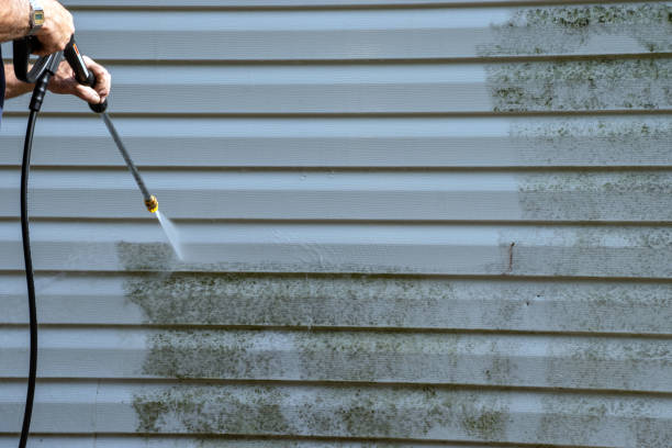 Best Engineered Wood Siding  in Phillips, WI