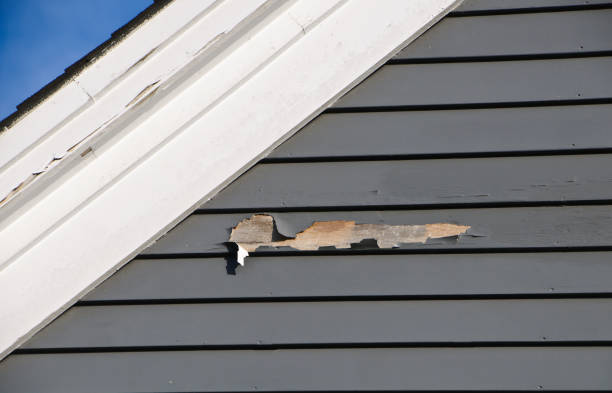 Best Siding for New Construction  in Phillips, WI