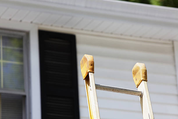 Best Stone Veneer Siding  in Phillips, WI